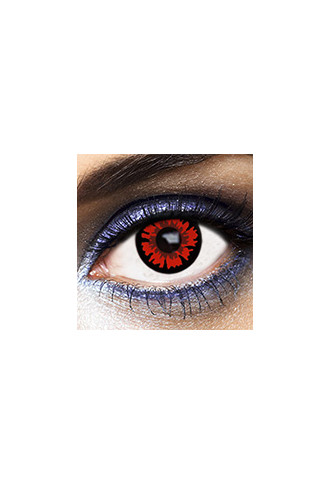 Bella 1 Day Plan - halloween - contactopharma